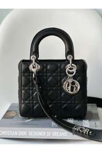 A Lady Dion My ABCDion Bag with Lambskin(20CM)